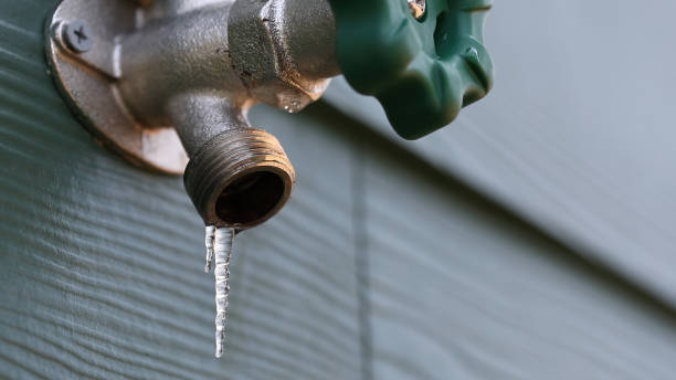 Best Commercial Plumbing Services  in Tavernier, FL